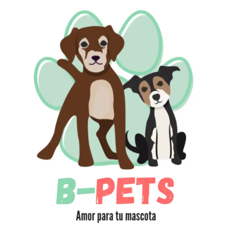Ofertas Cyber en B-Pets