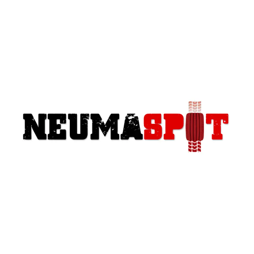 Ofertas Cyber en Neumaspot